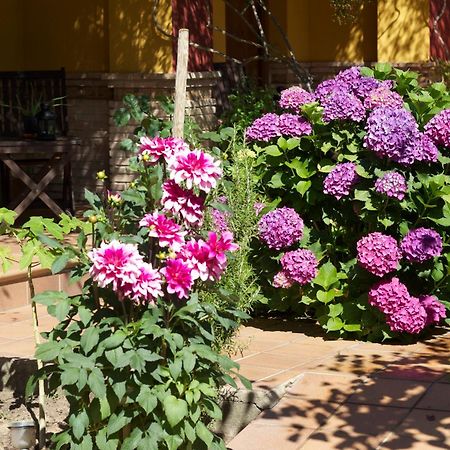 Hotel Donana Blues ماتالاسكانياس المظهر الخارجي الصورة