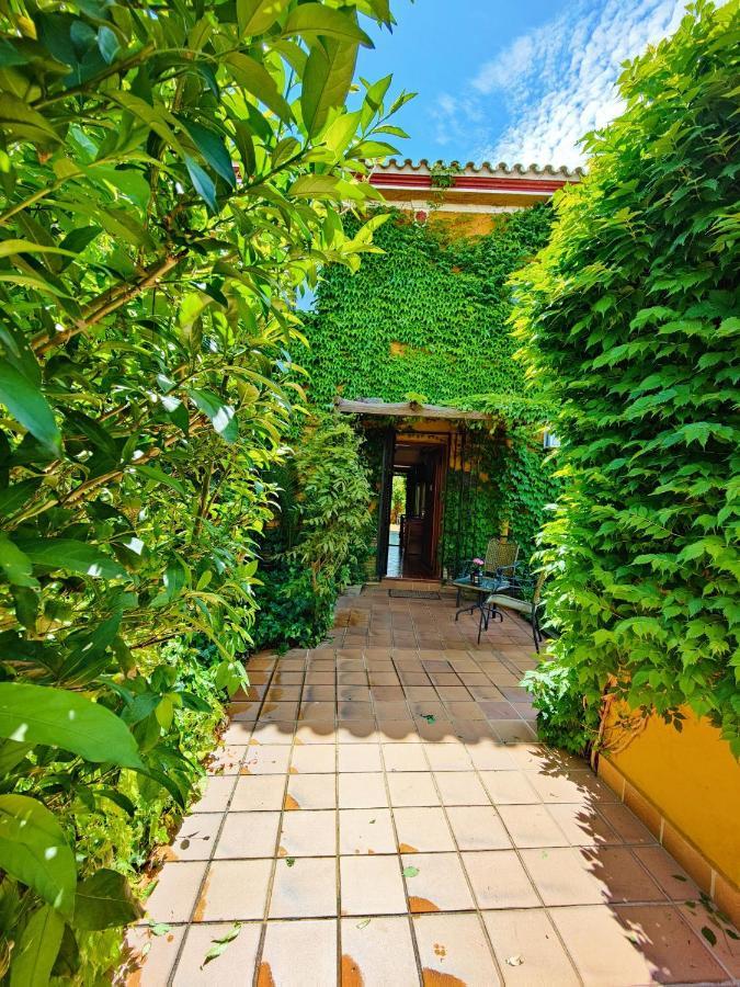 Hotel Donana Blues ماتالاسكانياس المظهر الخارجي الصورة