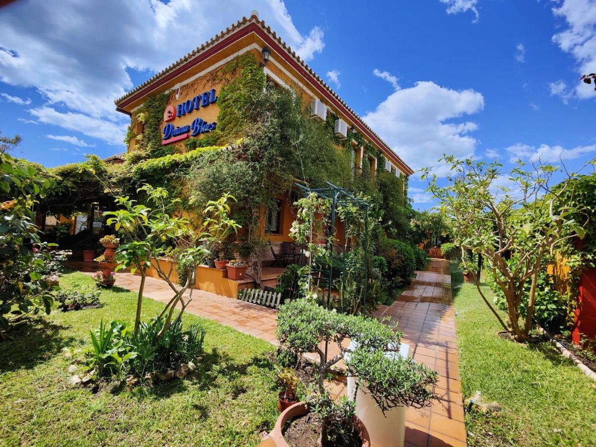Hotel Donana Blues ماتالاسكانياس المظهر الخارجي الصورة