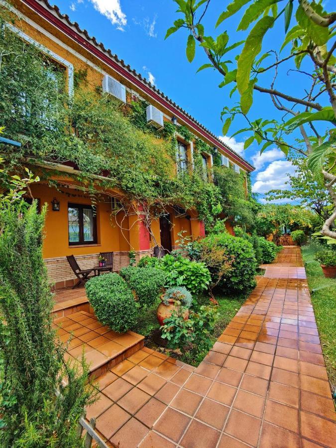 Hotel Donana Blues ماتالاسكانياس المظهر الخارجي الصورة