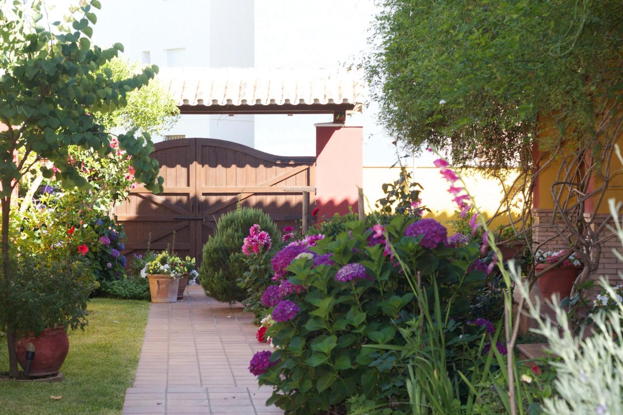 Hotel Donana Blues ماتالاسكانياس المظهر الخارجي الصورة