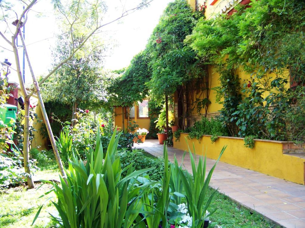 Hotel Donana Blues ماتالاسكانياس المظهر الخارجي الصورة